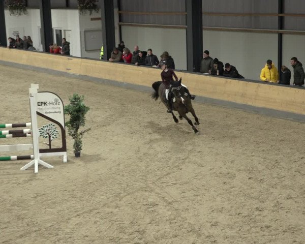 Reitturnier Borken 2023