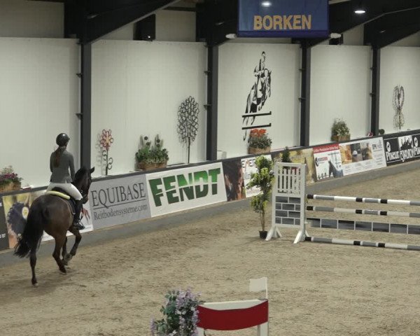Reitturnier Borken 2023