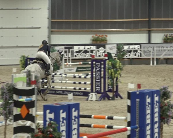 Reitturnier Borken 2023