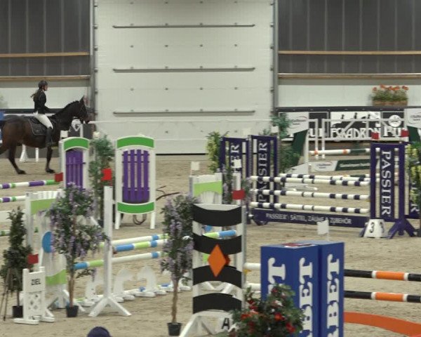 Reitturnier Borken 2023