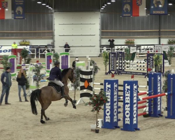 Reitturnier Borken 2023