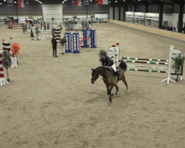 Reitturnier Borken 2023