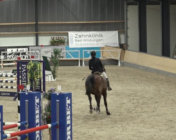 Reitturnier Borken 2023