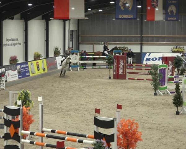 Reitturnier Borken 2023