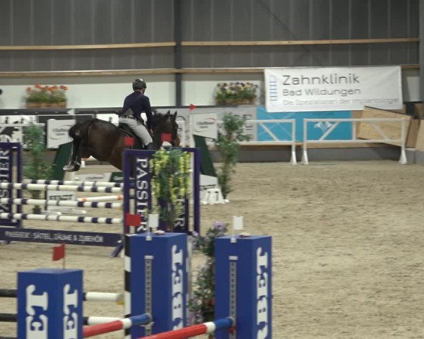 Reitturnier Borken 2023