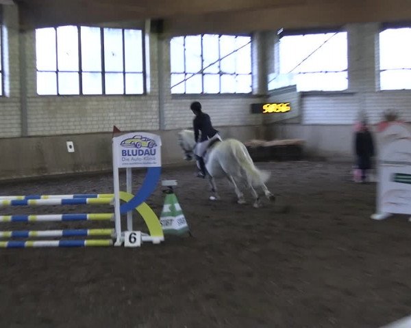 Reitturnier Hildesheim-Marienburg 2023