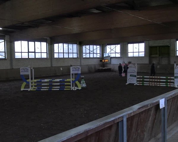 Reitturnier Hildesheim-Marienburg 2023