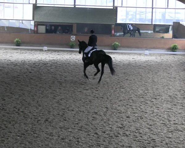 Reitturnier Ratingen 2023