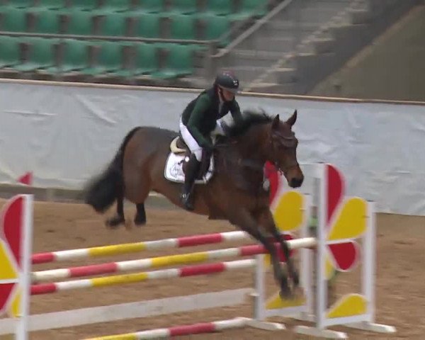 Reitturnier Kreuth 2023