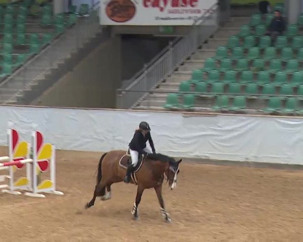 Reitturnier Kreuth 2023