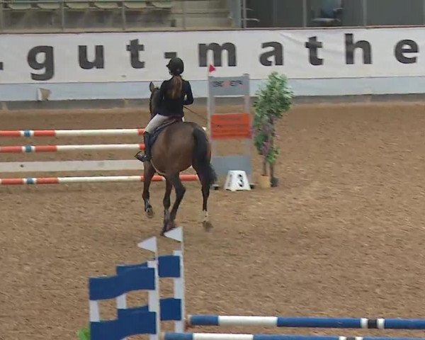 Reitturnier Kreuth 2023