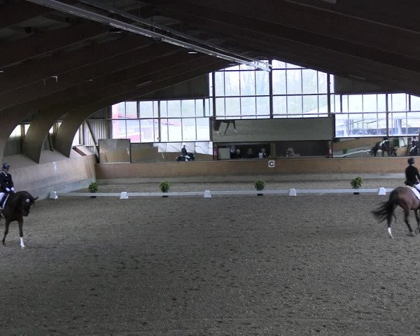 Reitturnier Ratingen 2023