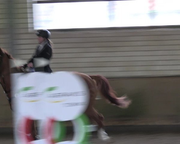 Reitturnier Hildesheim-Marienburg 2023