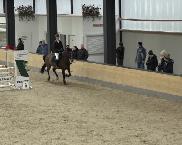 Reitturnier Borken 2023