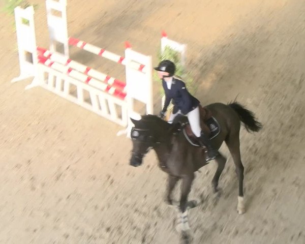 Reitturnier Schaffhausen 2023