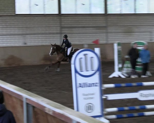 Reitturnier Hildesheim-Marienburg 2023