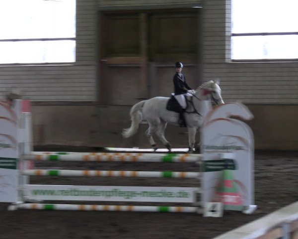 Reitturnier Hildesheim-Marienburg 2023