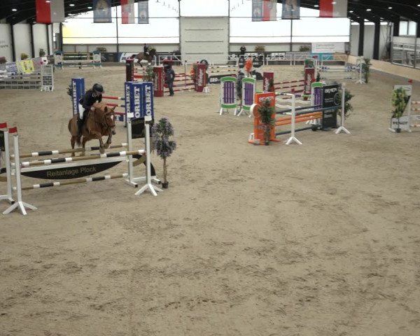 Reitturnier Borken 2023
