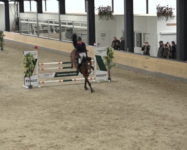 Reitturnier Borken 2023