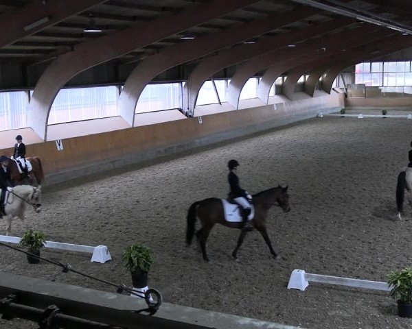 Reitturnier Ratingen 2023