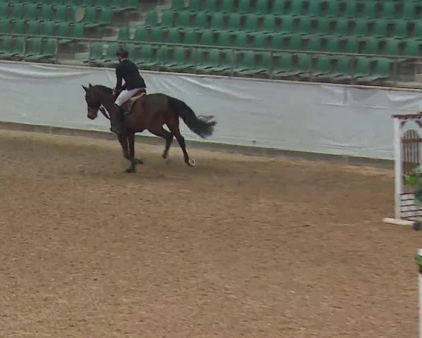Reitturnier Kreuth 2023