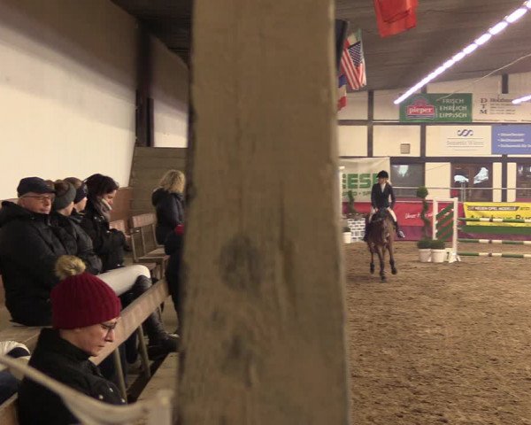 Reitturnier Vlotho-Exter 2023