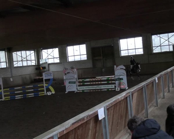 Reitturnier Hildesheim-Marienburg 2023