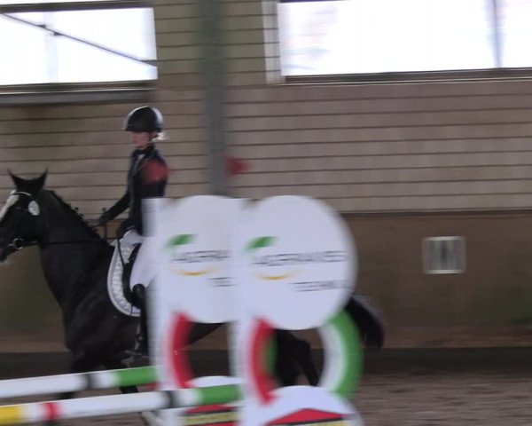 Reitturnier Hildesheim-Marienburg 2023