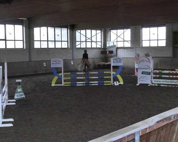 Reitturnier Hildesheim-Marienburg 2023