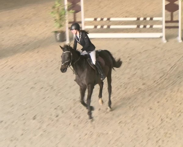 Reitturnier Schaffhausen 2023