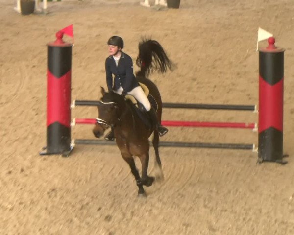 Reitturnier Schaffhausen 2023