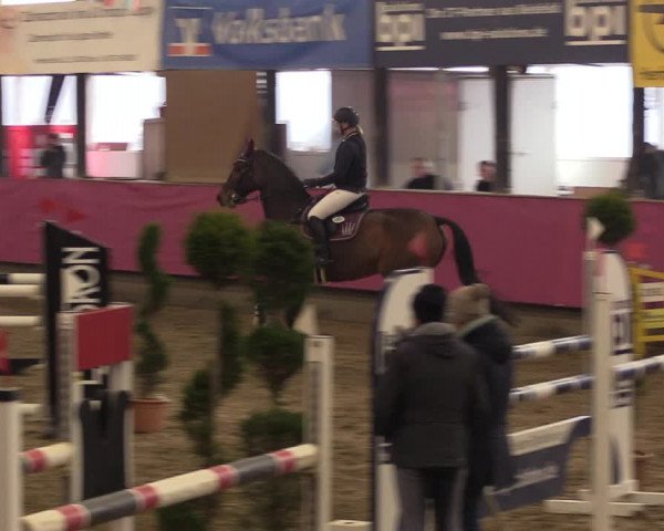 Reitturnier Vlotho-Exter 2023