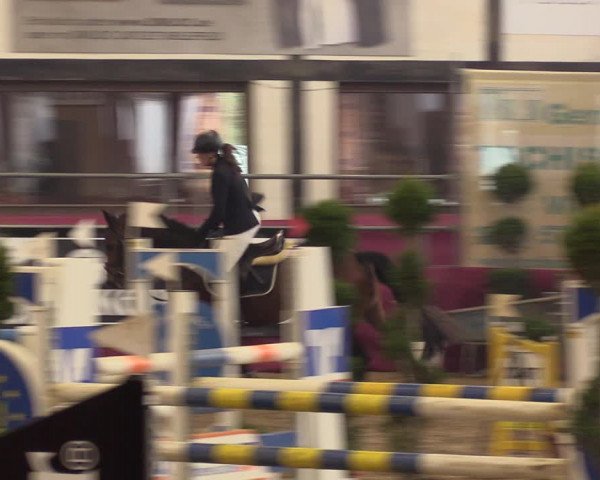 Reitturnier Vlotho-Exter 2023