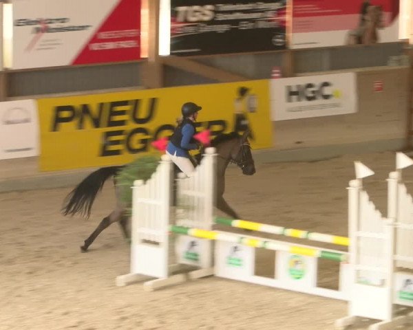 Reitturnier Schaffhausen 2023