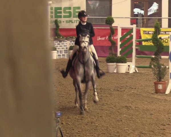 Reitturnier Vlotho-Exter 2023