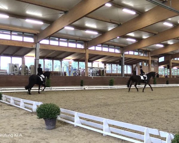 Reitturnier Coesfeld/Lette 2021