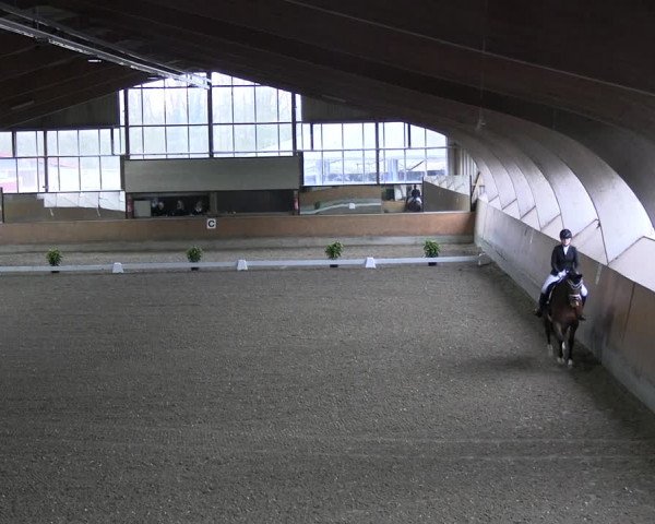 Reitturnier Ratingen 2023