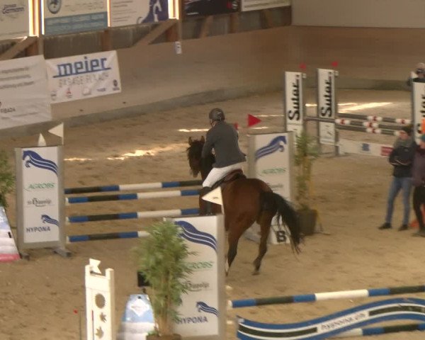 Reitturnier Schaffhausen 2023