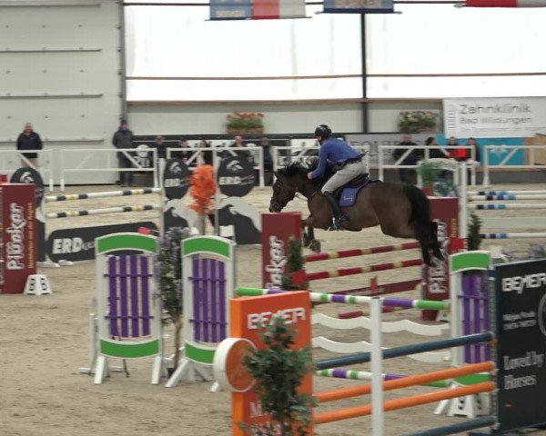 Reitturnier Borken 2023