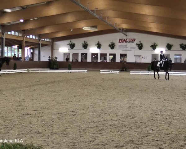 Reitturnier Coesfeld/Lette 2021