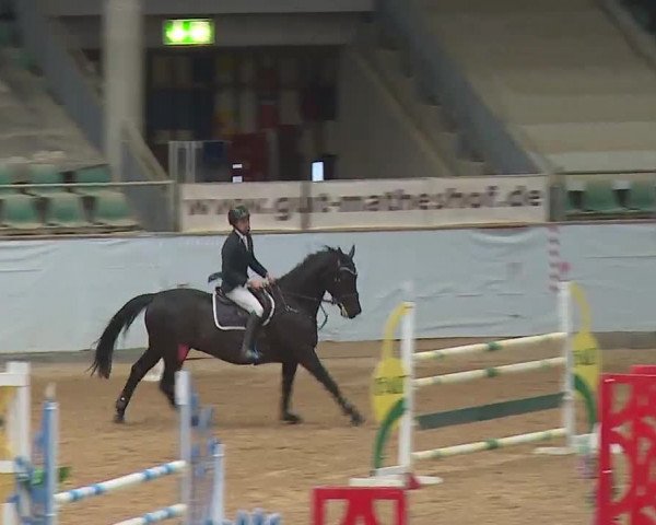 Reitturnier Kreuth 2023