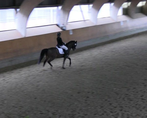 Reitturnier Ratingen 2023