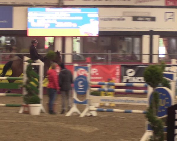 Reitturnier Vlotho-Exter 2023