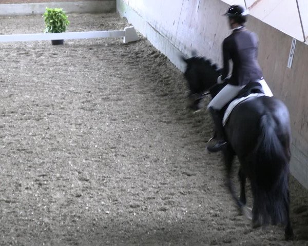 Reitturnier Ratingen 2023