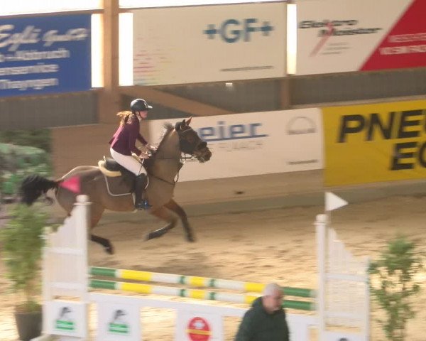 Reitturnier Schaffhausen 2023