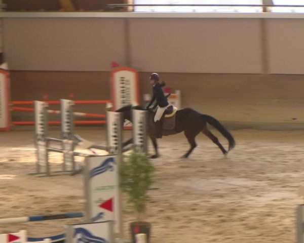 Reitturnier Schaffhausen 2023