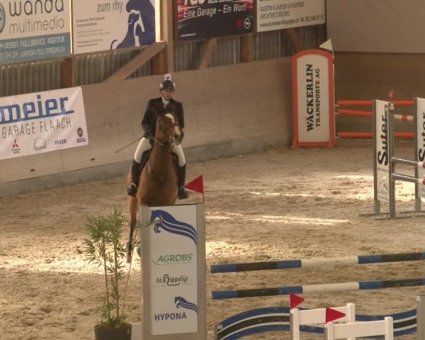 Reitturnier Schaffhausen 2023