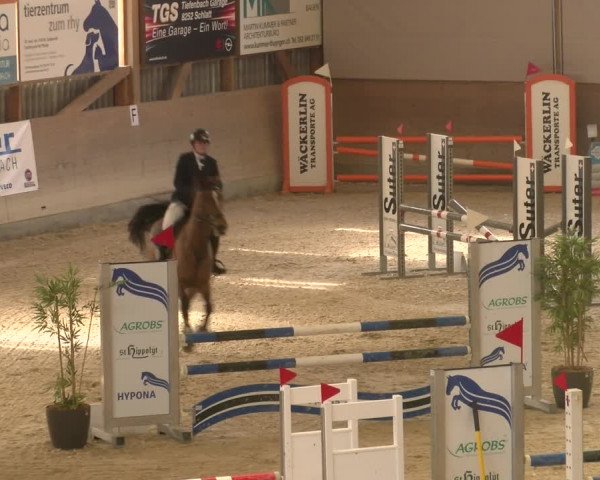 Reitturnier Schaffhausen 2023