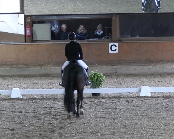 Reitturnier Ratingen 2023