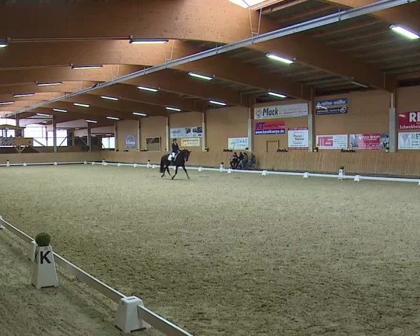 Reitturnier Grafenrheinfeld/Ufr. 2021